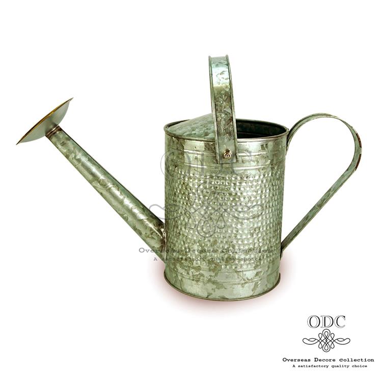 Lacquered Eye-catching Galvanized Watering Can